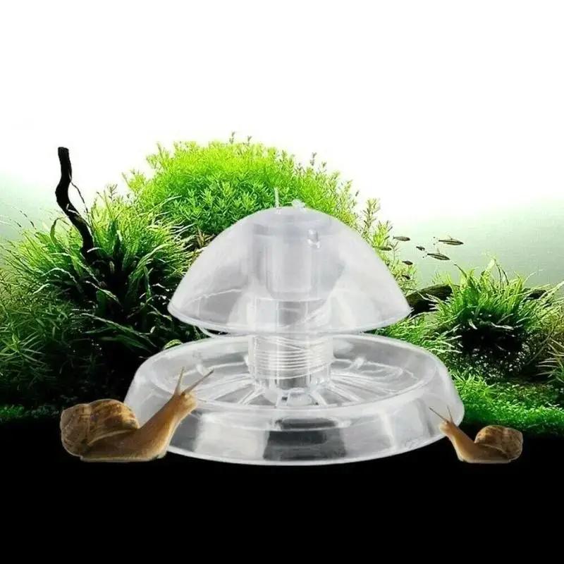 Aquarium Planted Fish - 2026 Nowa przezroczysta plastikowa pułapka na
