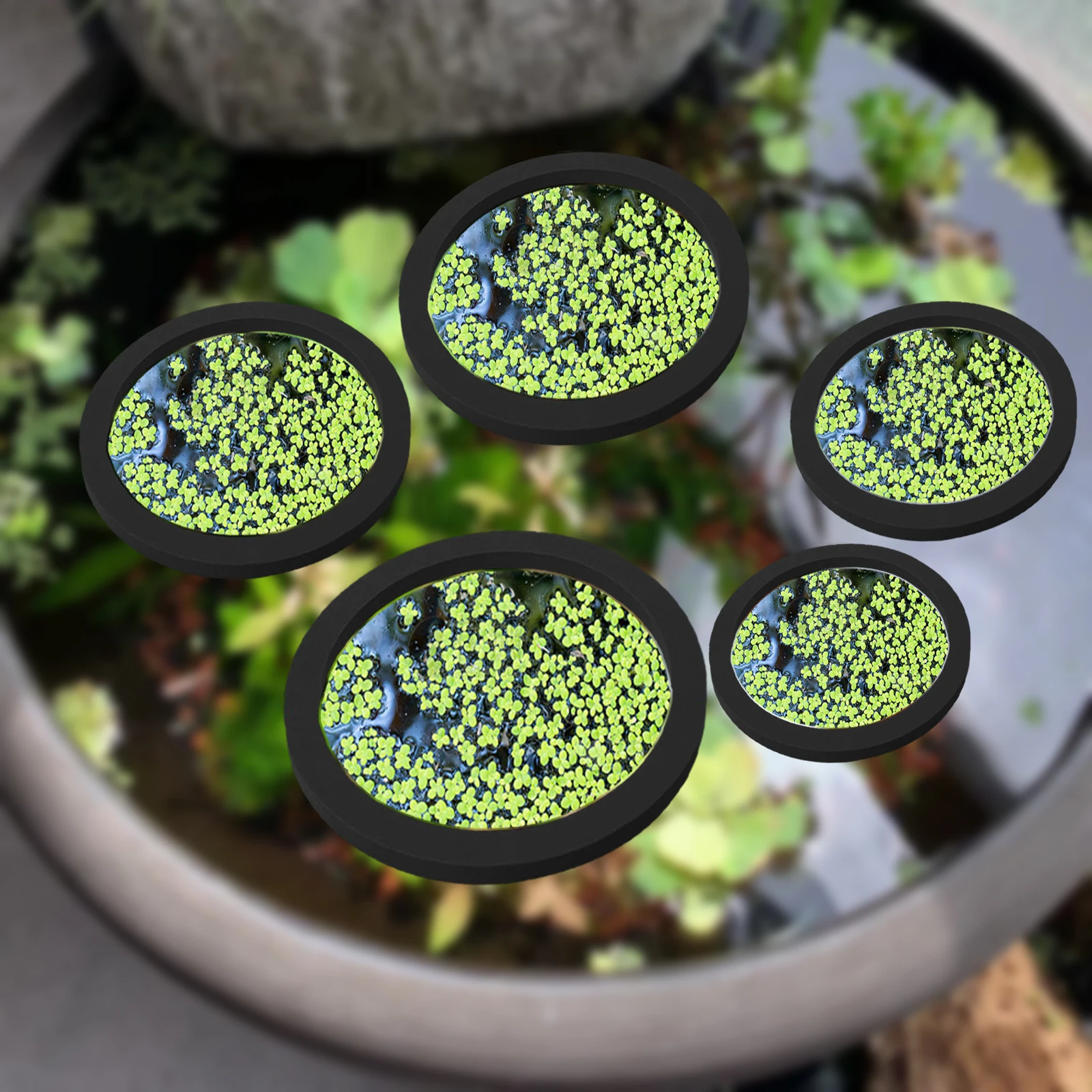 Aquarium Planted Fish - 5Pcs EVA Pierścień do karmienia ryb