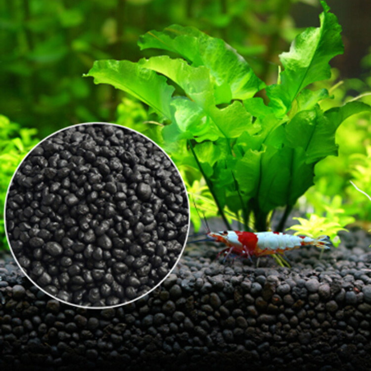 Aquarium Plant Grass - Roślina akwariowa nasiona gleba akwarium podłoże