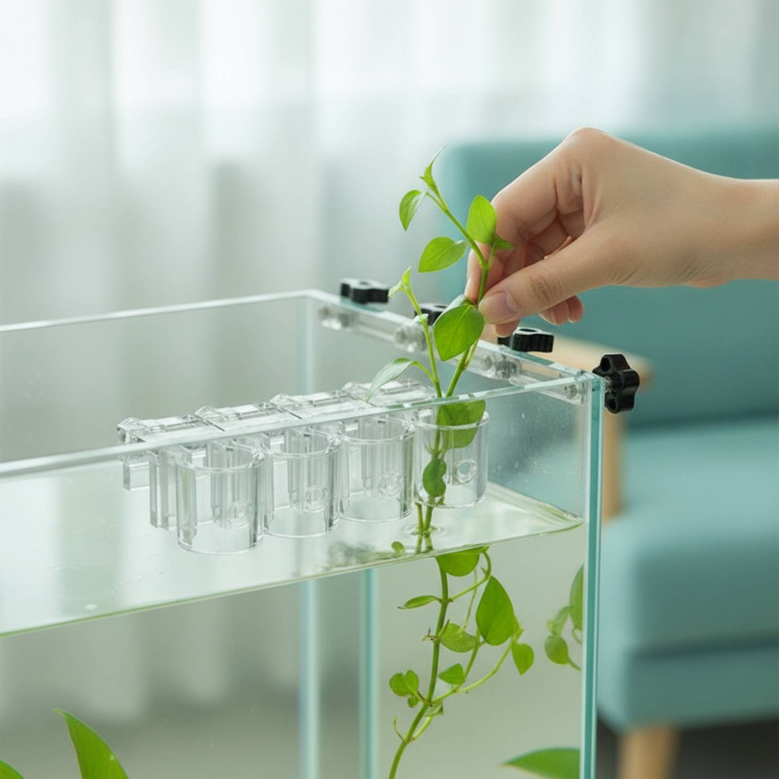 6 sztuk przezroczystych klipsó – Aquarium Plants recenzja i cena