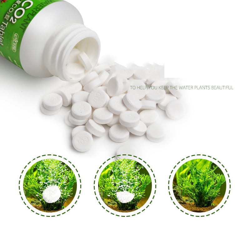 ISTA akwarium akwarium CO2 Tab – Planted Aquarium Without Fish recenzja i cena