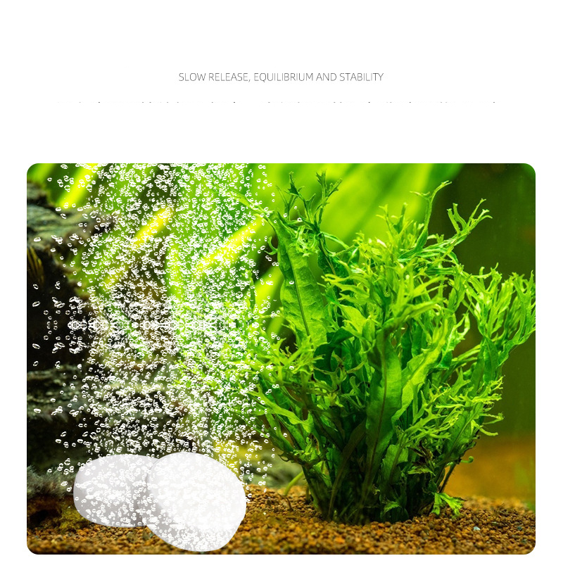ISTA akwarium akwarium CO2 Tab – Planted Aquarium Without Fish recenzja i cena