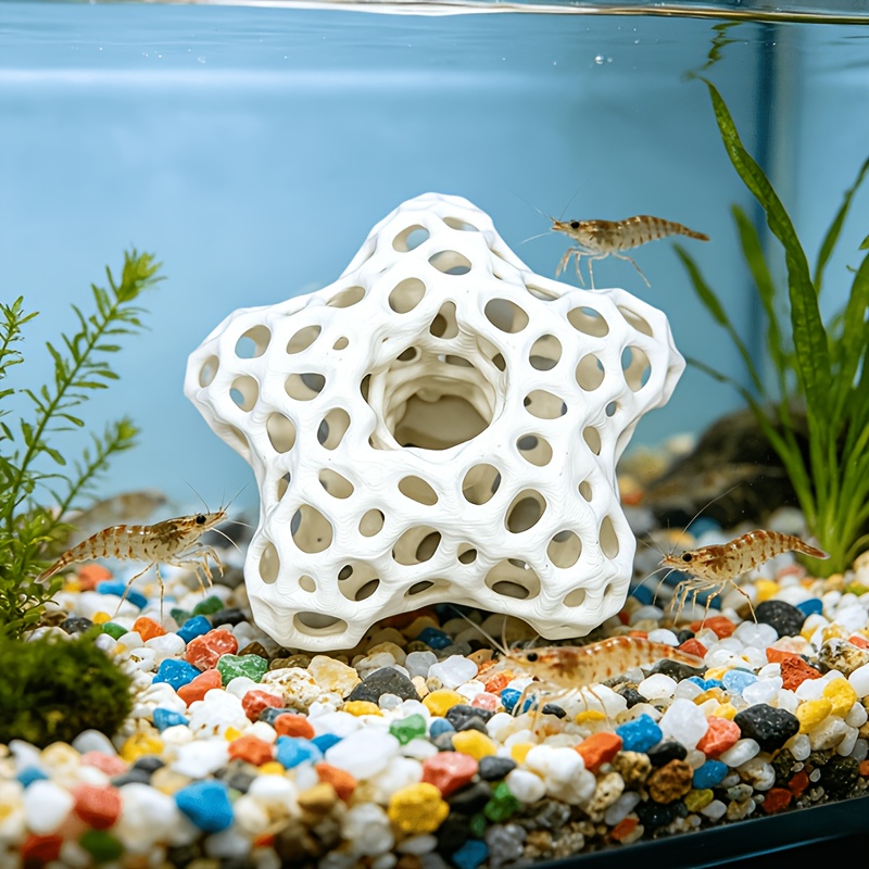 Wydrążona, pięcioramienna gwia – Planted Aquarium Without Fish recenzja i cena