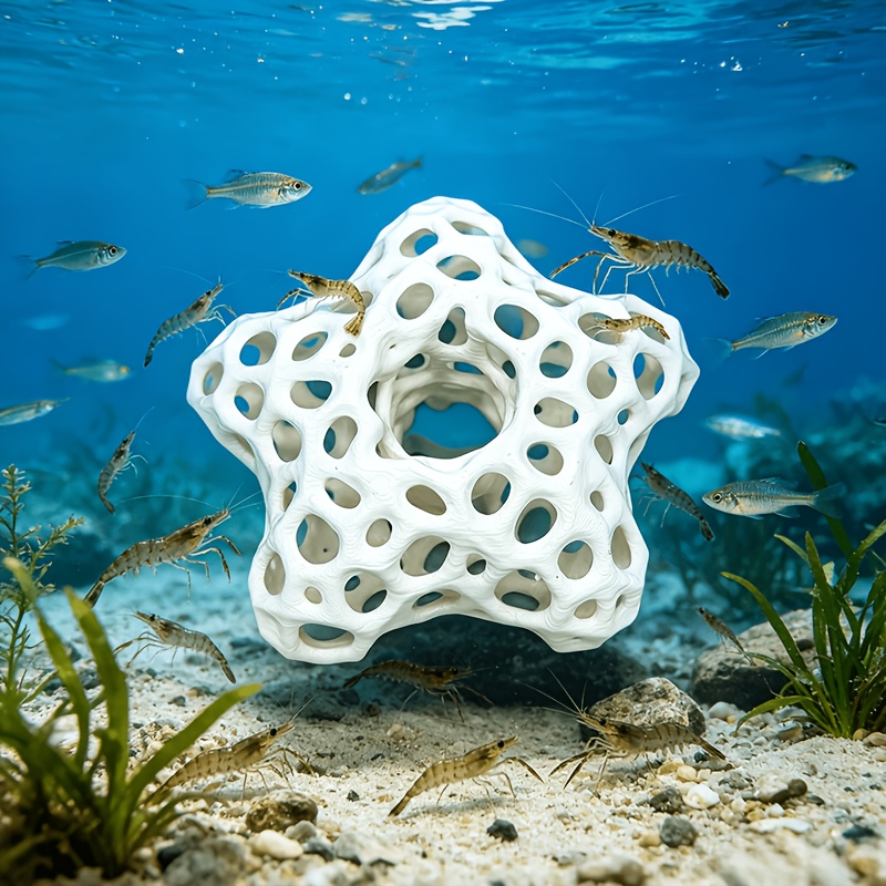 Wydrążona, pięcioramienna gwia – Planted Aquarium Without Fish recenzja i cena