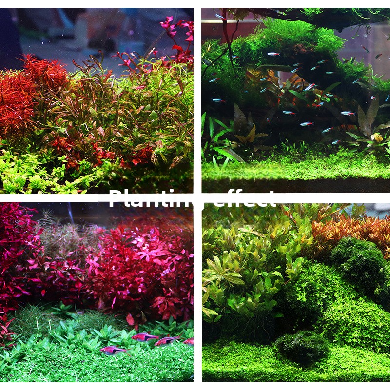 SYSENCIAGA Substrat do akwariu – Planted Aquarium Fertilizer recenzja i cena
