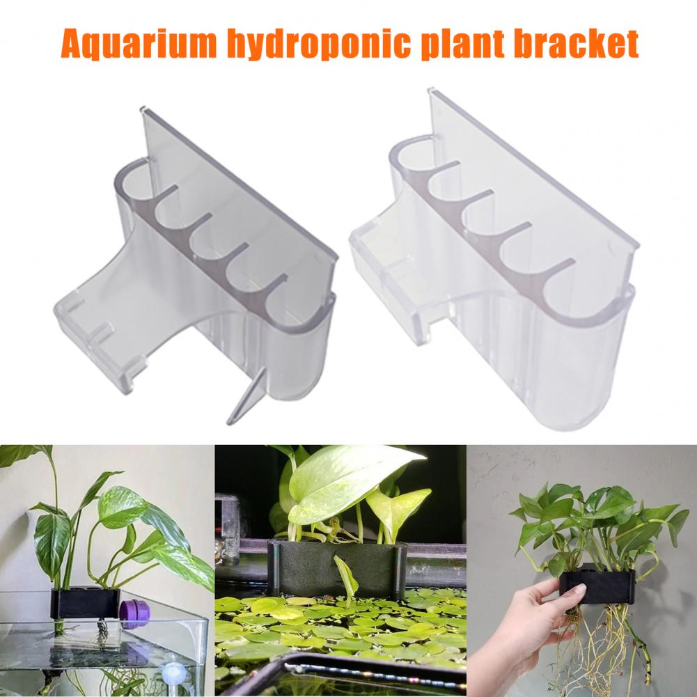 4.5/6.5cm akwarium uchwyt na r – Aquarium Planted Tank recenzja i cena