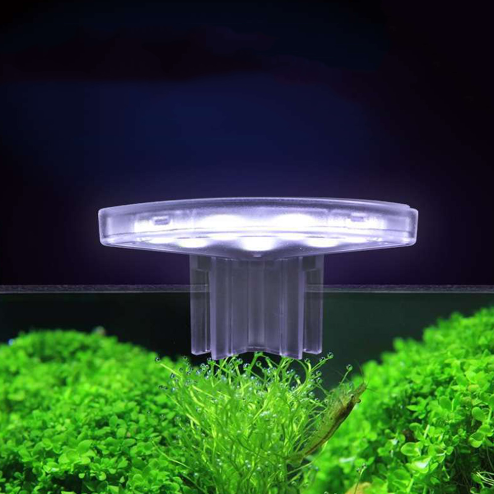 Lampa LED do uprawy roślin, en – Aquarium Plant Easy To Grow recenzja i cena