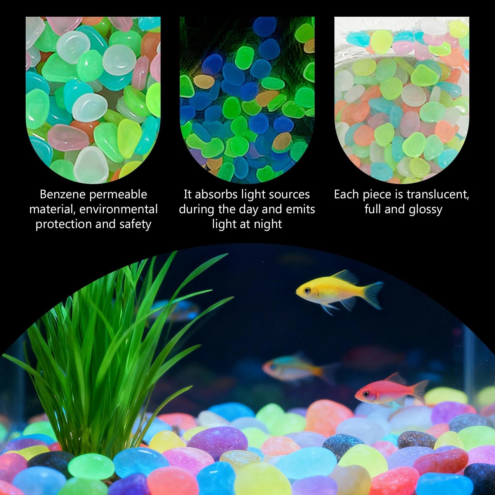 Rośliny doniczkowe świecące w  – Aquarium Plants recenzja i cena