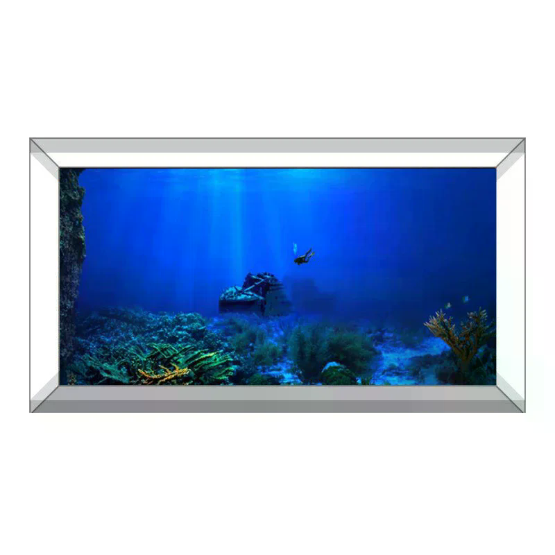 Tło do akwarium, dekoracyjny o – Aquarium Planted Fish recenzja i cena