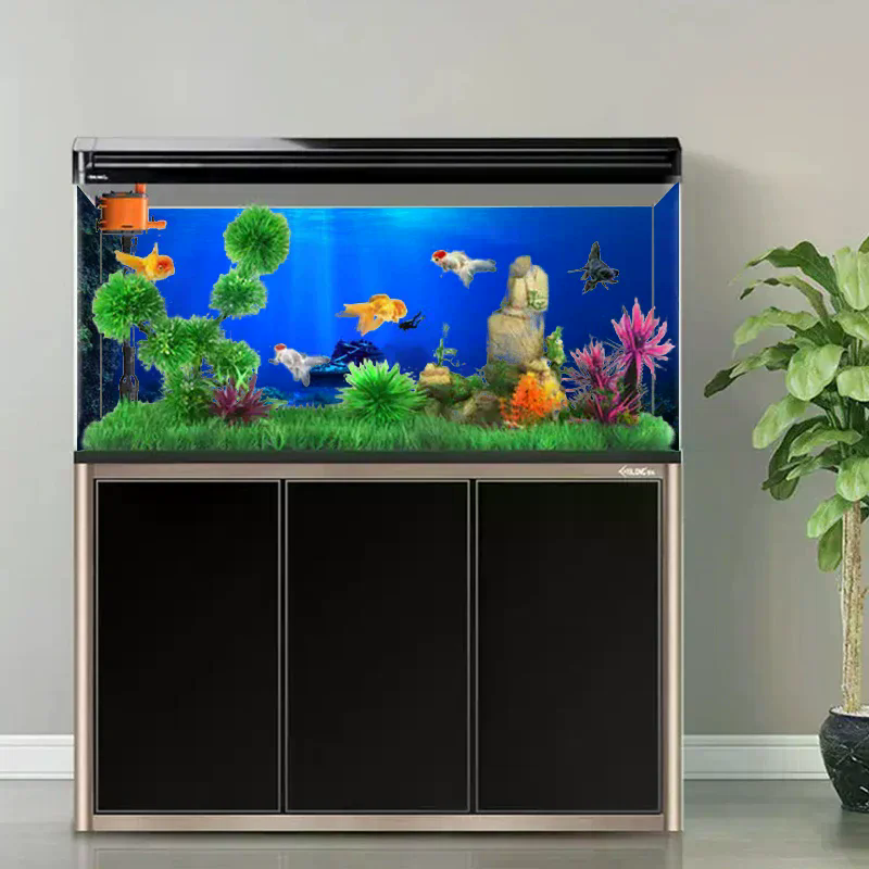 Tło do akwarium, dekoracyjny o – Aquarium Planted Fish recenzja i cena