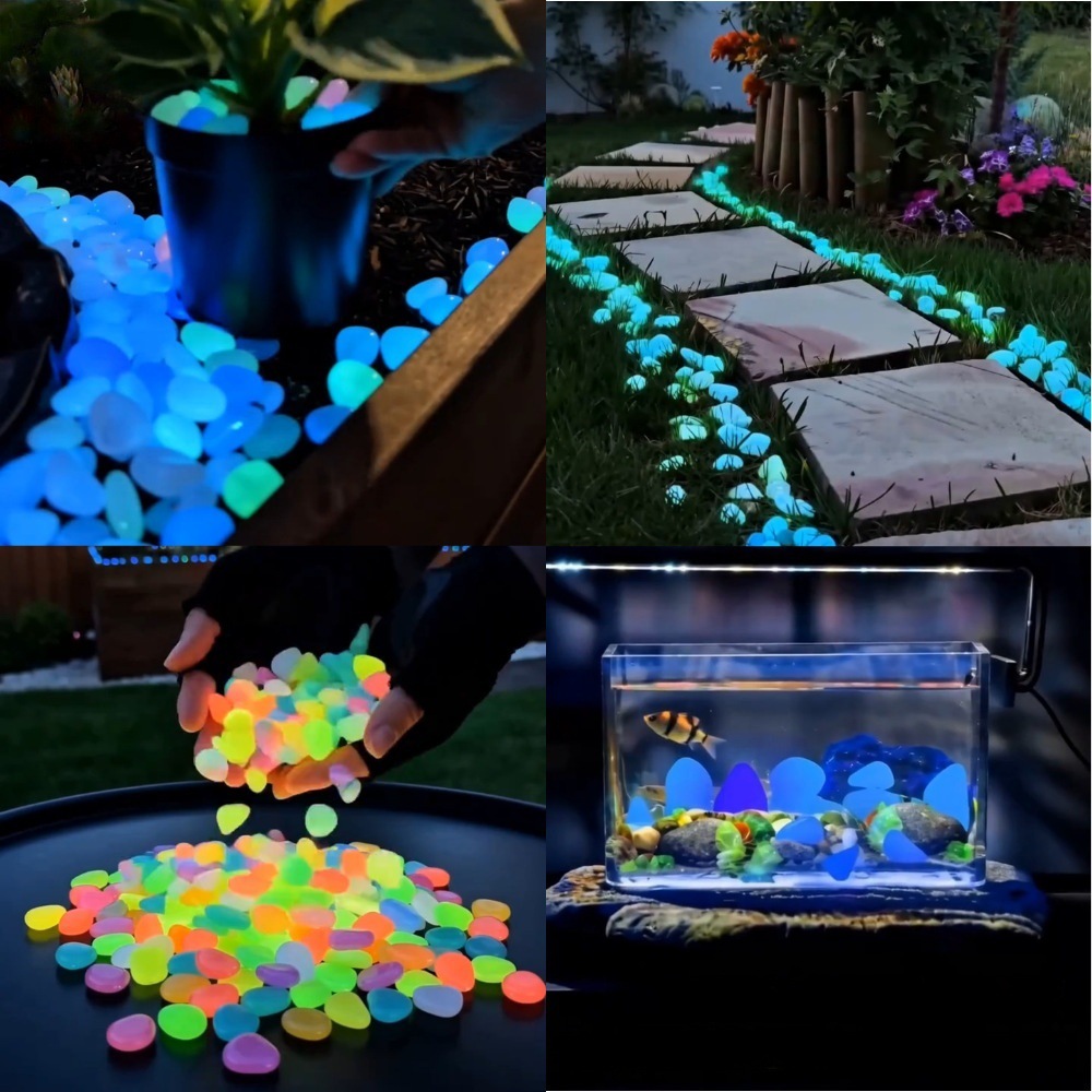 Kolorowe, świecące w ciemności – Aquarium Planted Fish recenzja i cena