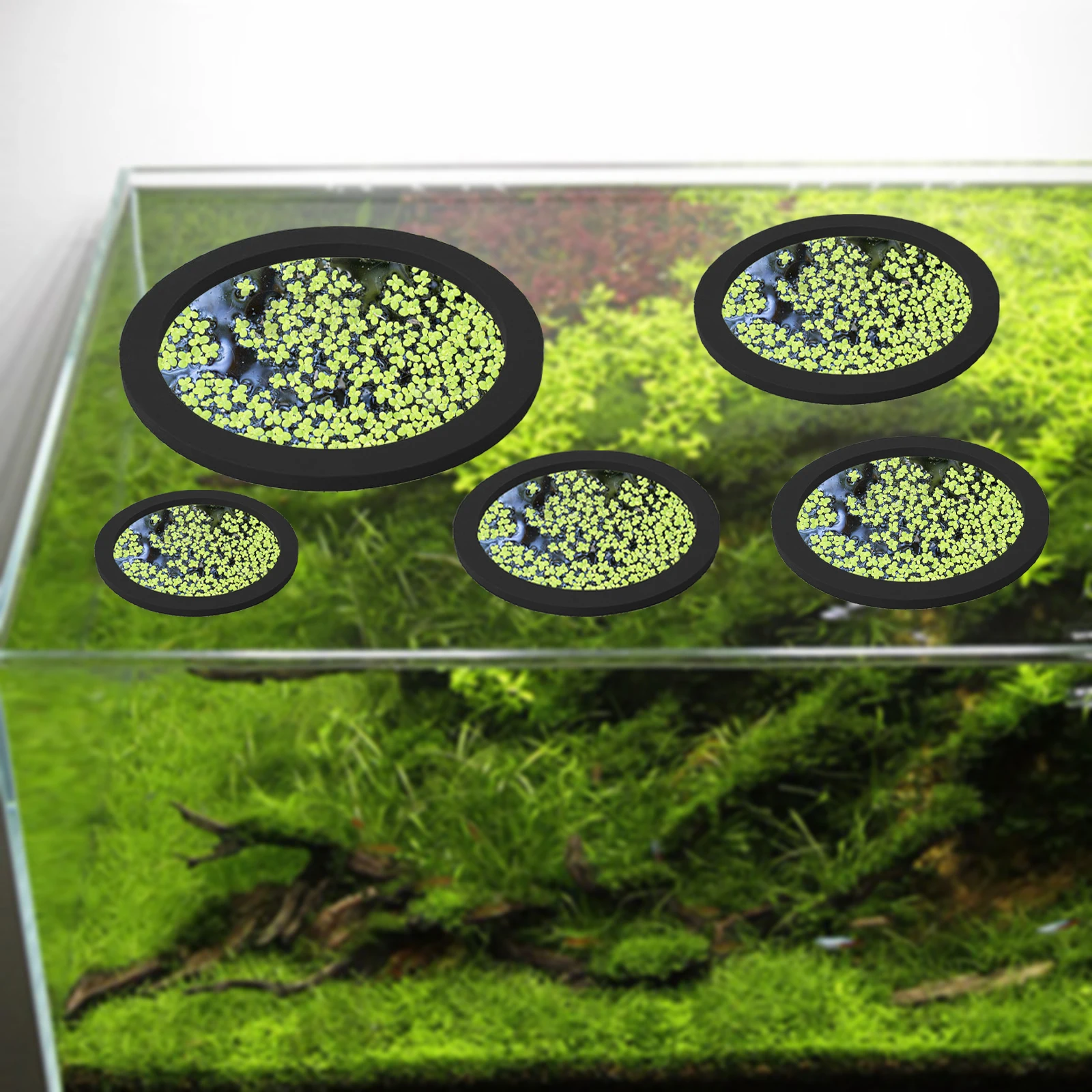 5Pcs EVA Pierścień do karmieni – Aquarium Planted Fish recenzja i cena