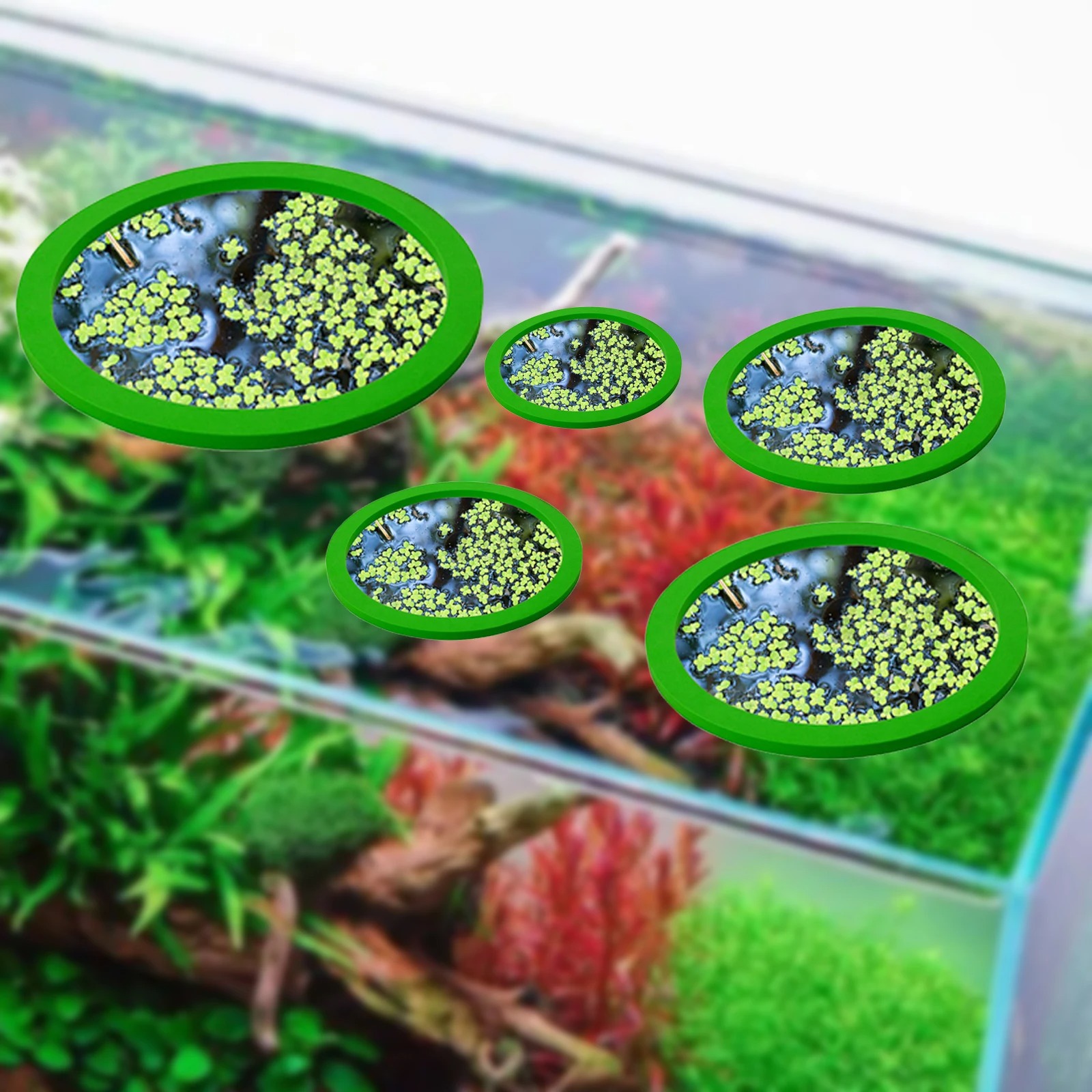 5Pcs EVA Pierścień do karmieni – Aquarium Planted Fish recenzja i cena