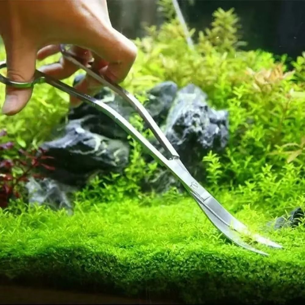 1 szt. Nożyczki do akwarium ze – Aquarium Plant Grass recenzja i cena