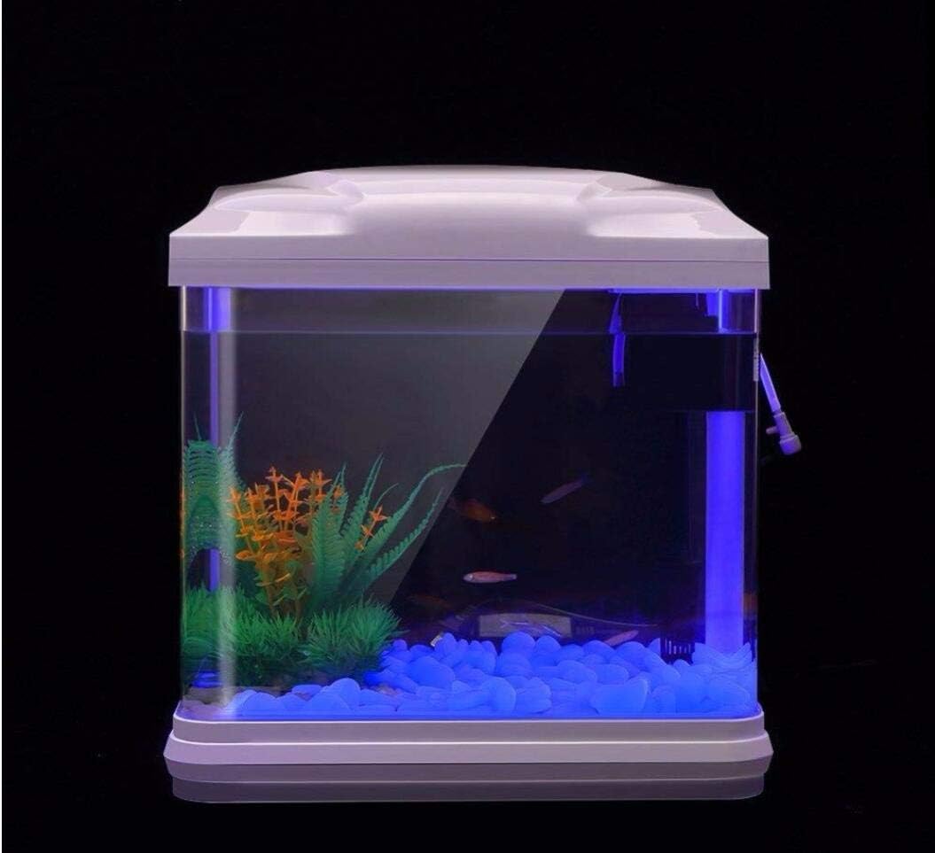 Fish Tank Rocks Glow Blue Pebb – Aquarium Planted Fish recenzja i cena