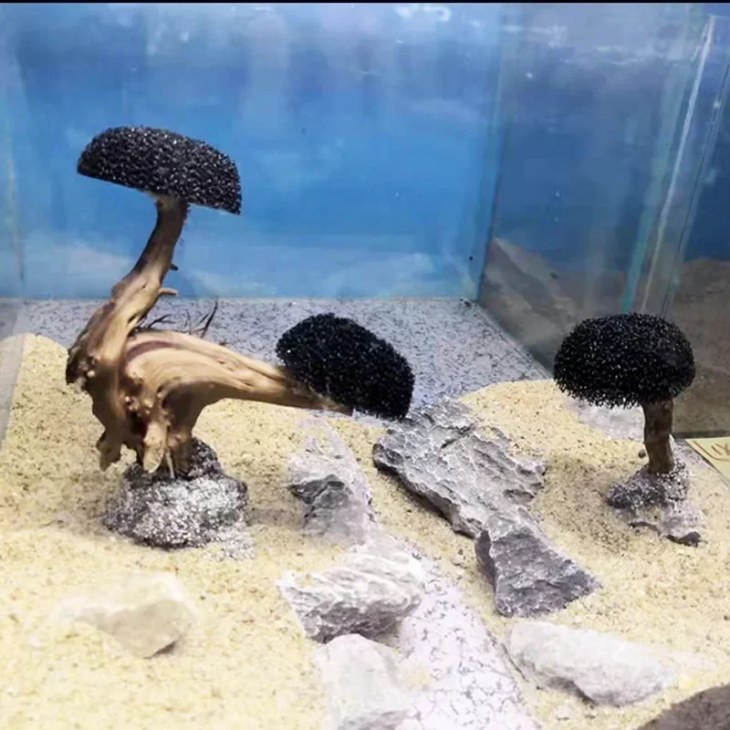 Dekoracja do akwarium: rośliny – Planted Aquarium Without Fish recenzja i cena