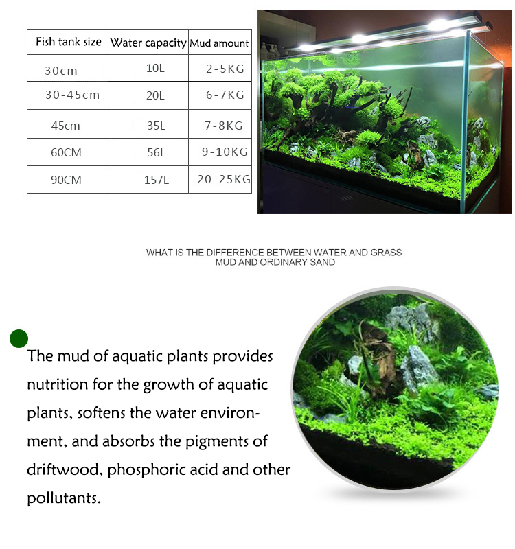 Roślina akwariowa nasiona gleb – Aquarium Plant Grass recenzja i cena