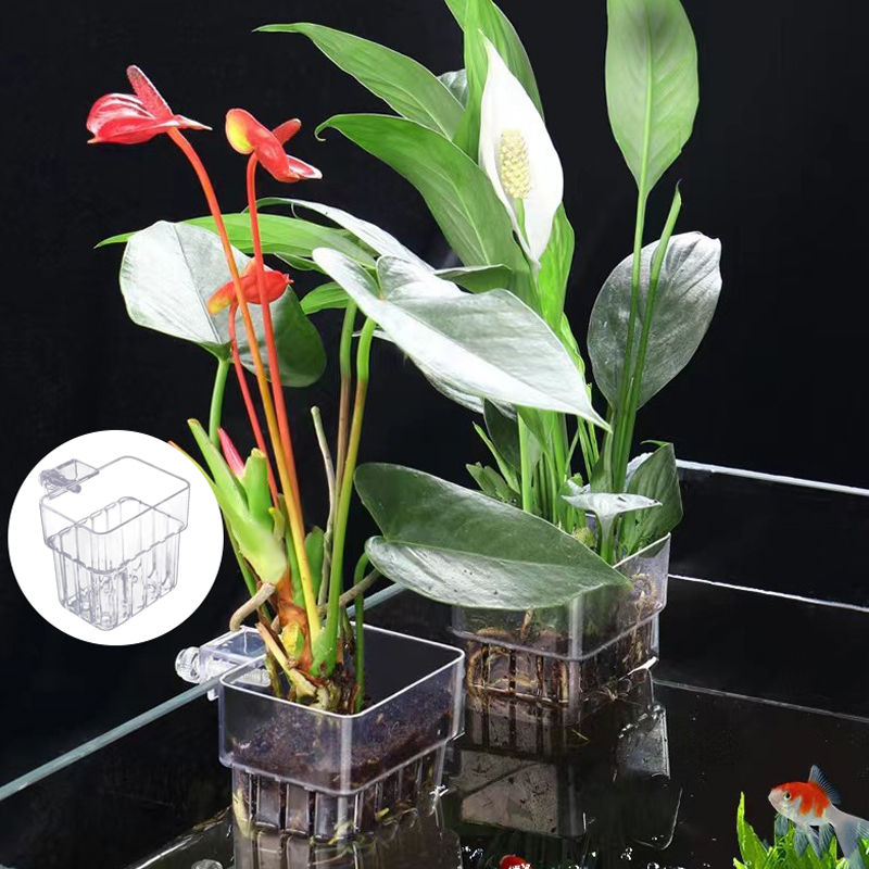Wielofunkcyjny akwarium dla ry – Aquarium Plant Grass recenzja i cena