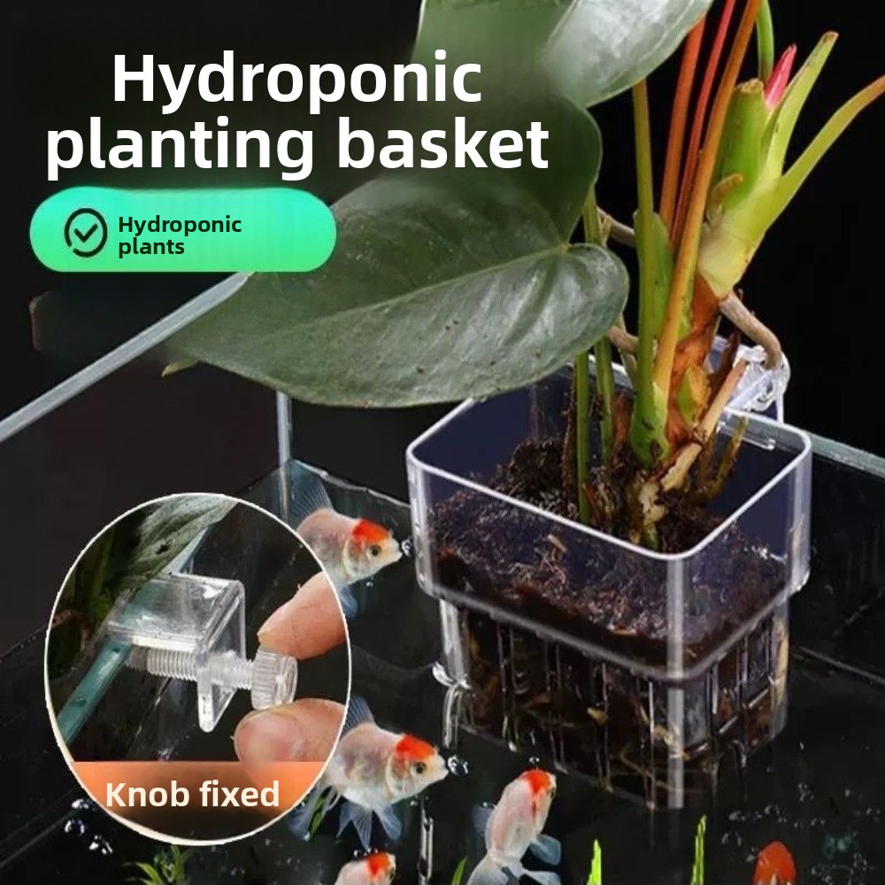 Kosz do hydroponicznego uprawi – Aquarium Plant Grass recenzja i cena