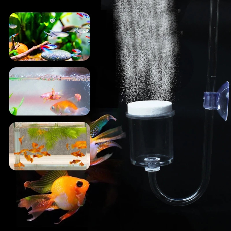 4szt Zestaw DIY Dyfuzor CO2 do – Aquarium Plant Grass recenzja i cena